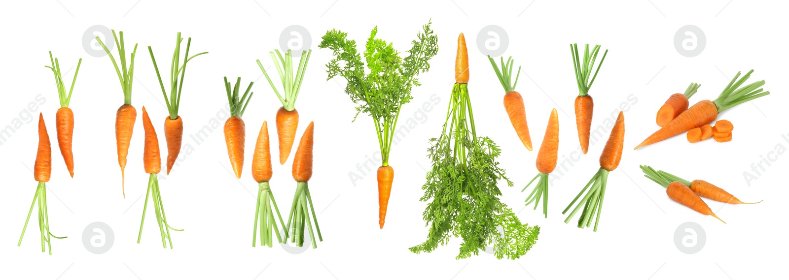 Image of Set of fresh ripe carrots isolated on white