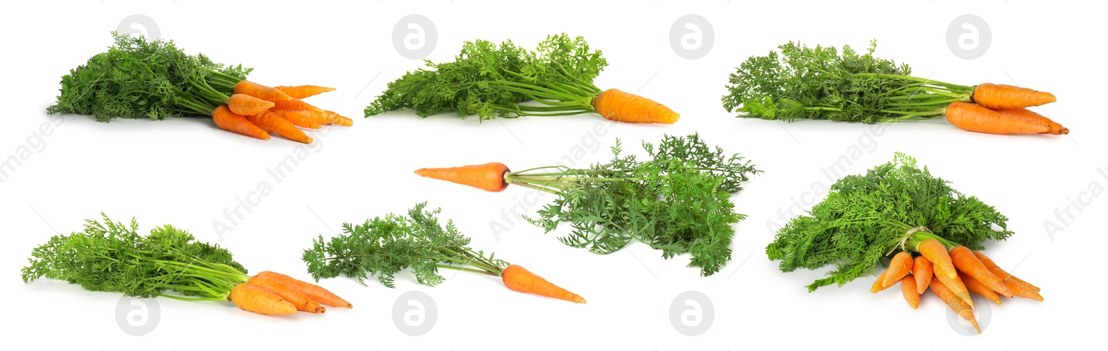 Image of Set of fresh ripe carrots isolated on white