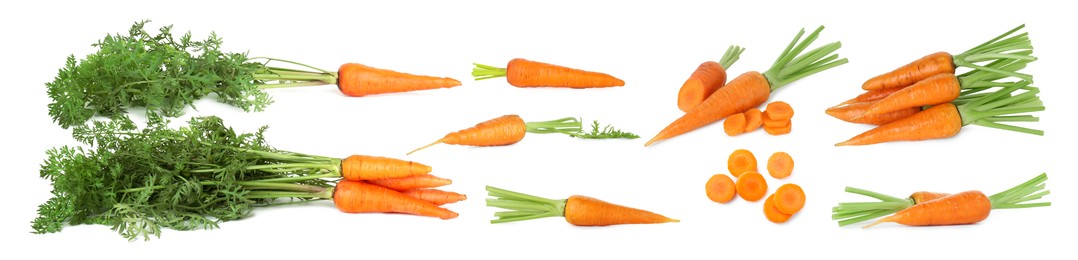 Image of Set of fresh ripe carrots isolated on white