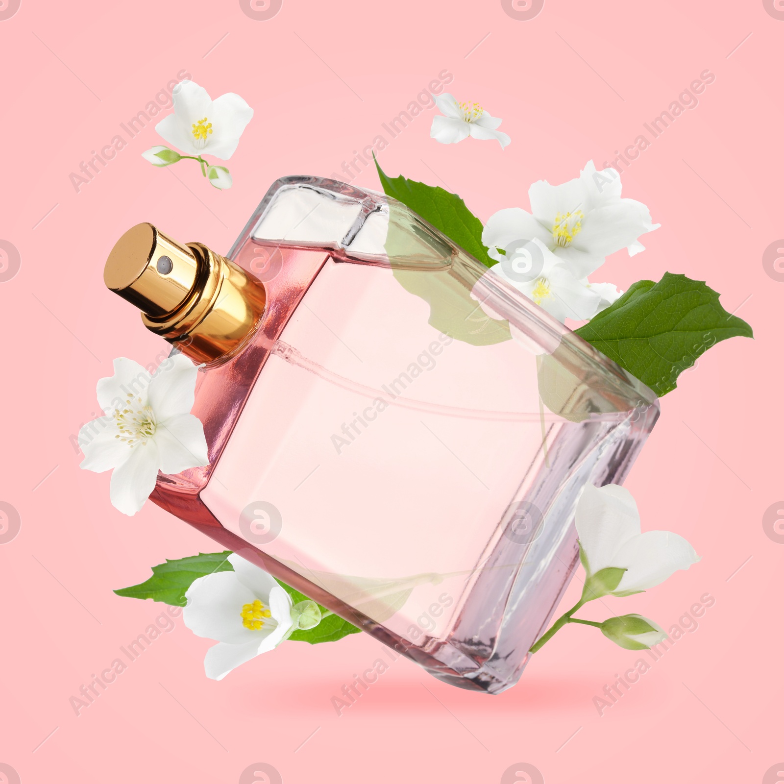 Image of Bottle of floral perfume and jasmine flowers in air on pink background