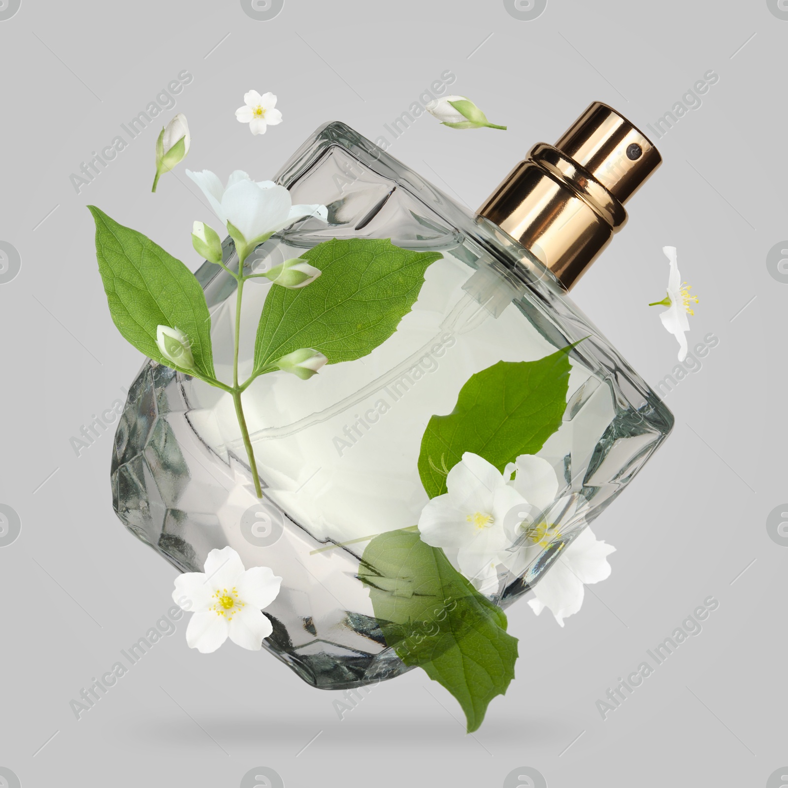 Image of Bottle of floral perfume and jasmine flowers in air on light grey background