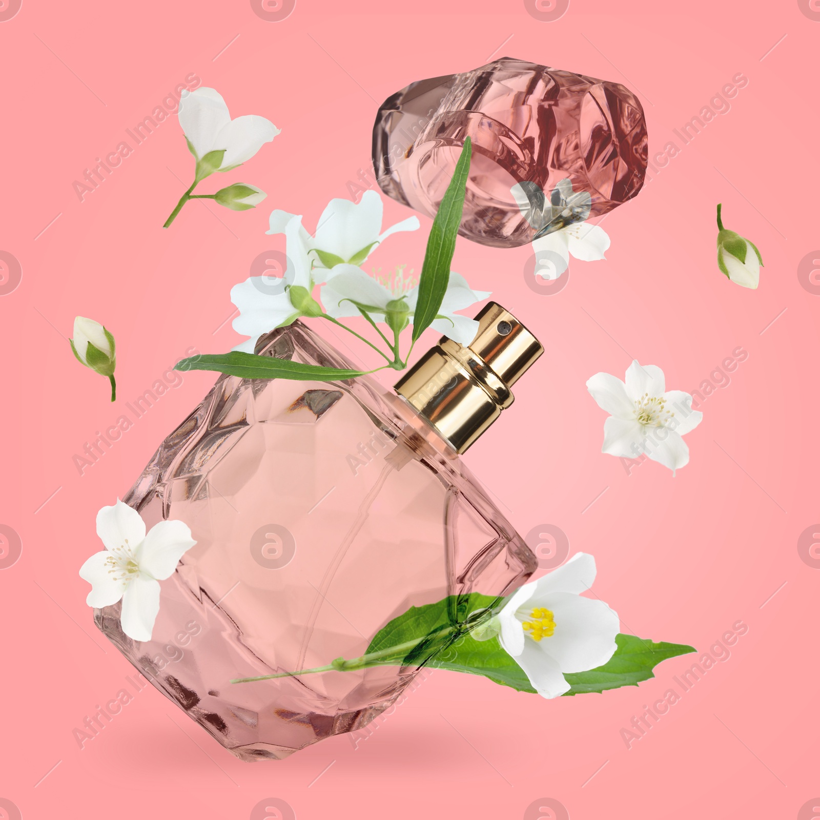 Image of Bottle of floral perfume and jasmine flowers in air on pink background