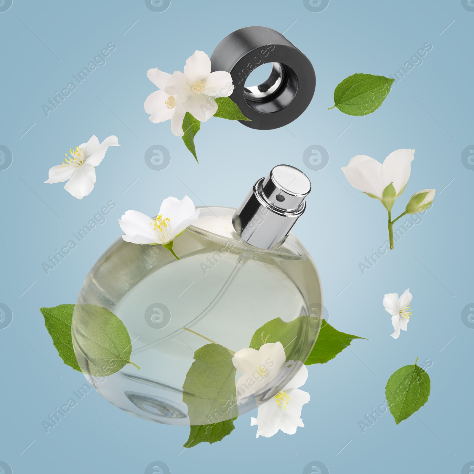 Image of Bottle of floral perfume and jasmine flowers in air on light blue background