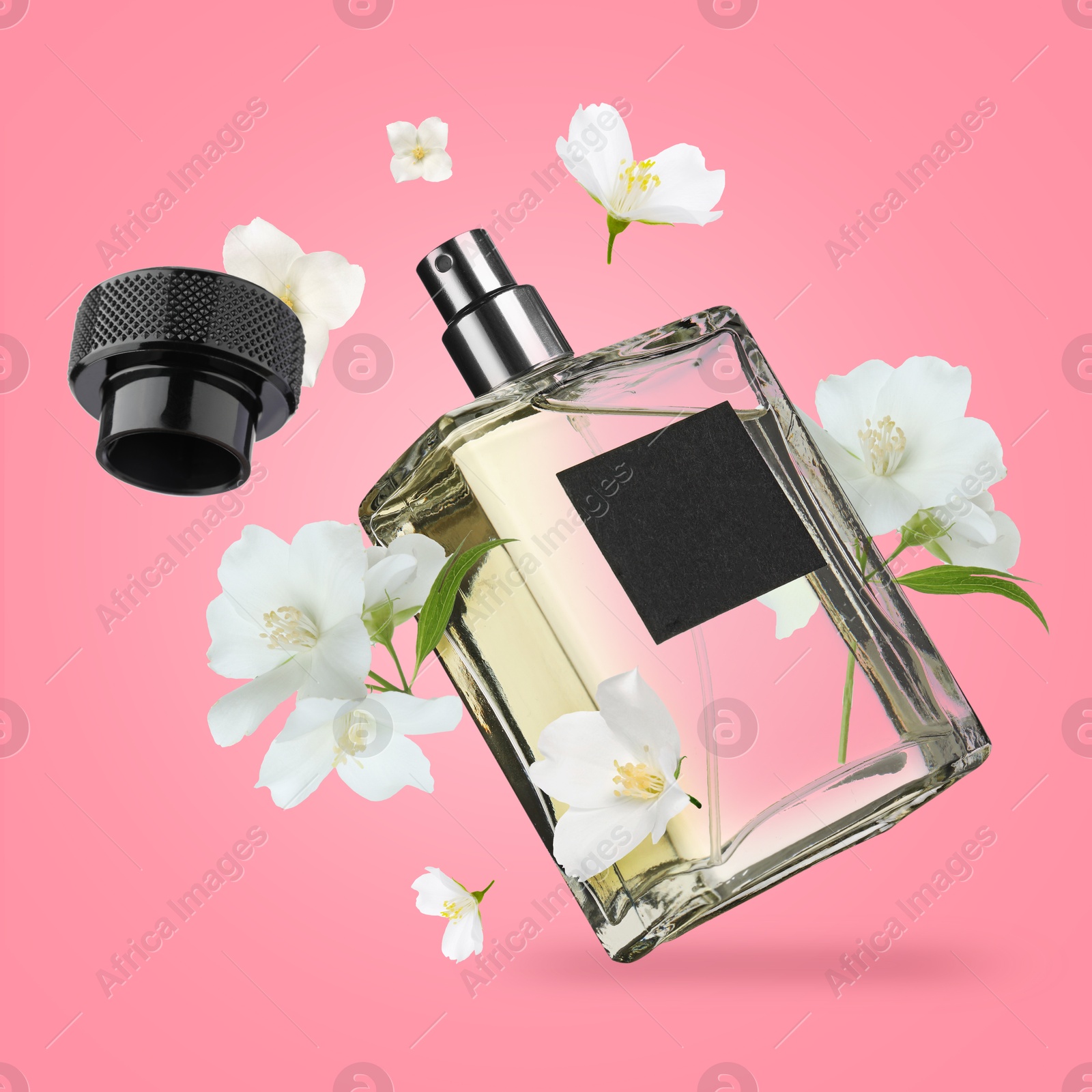 Image of Bottle of floral perfume and jasmine flowers in air on pink background