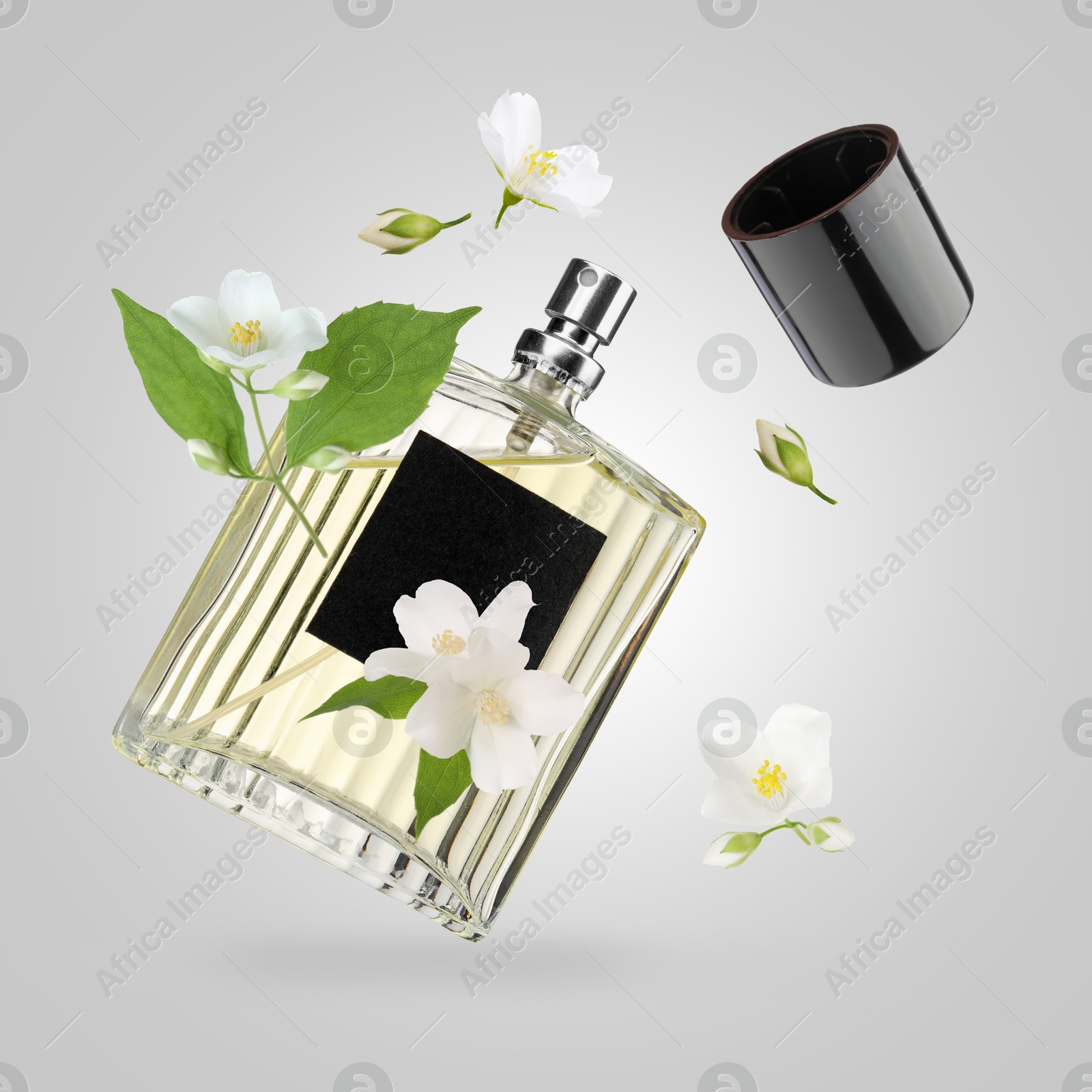 Image of Bottle of floral perfume and jasmine flowers in air on light grey background