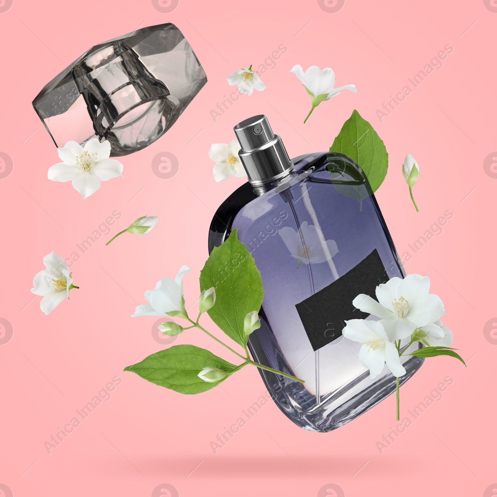 Image of Bottle of floral perfume and jasmine flowers in air on pink background