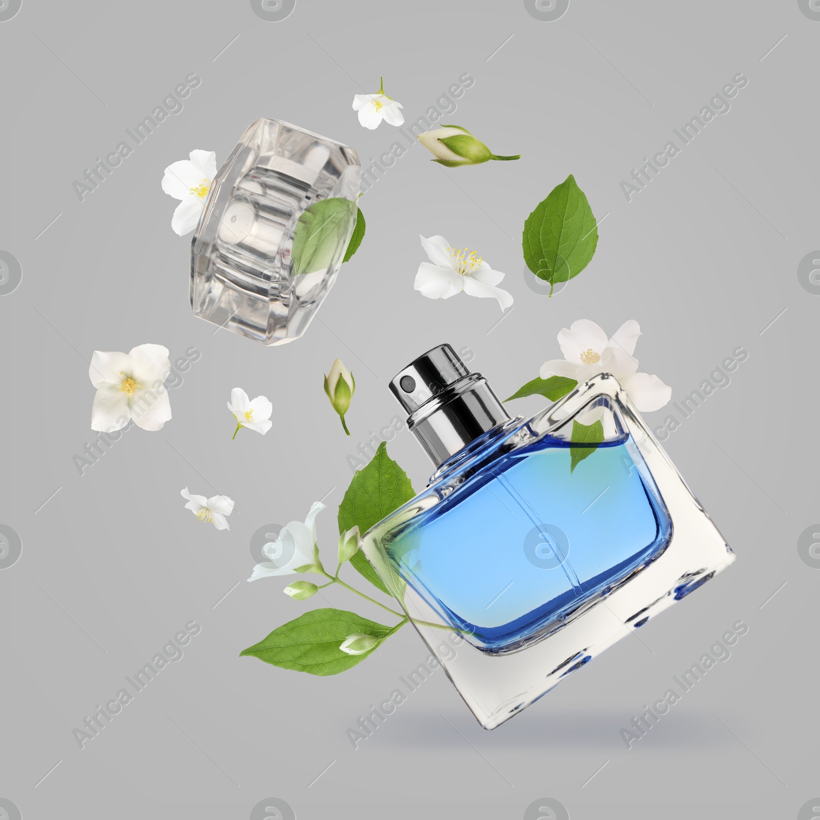 Image of Bottle of floral perfume and jasmine flowers in air on grey background