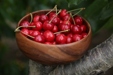 Tasty ripe red cherries in wooden bowl outdoors, closeup