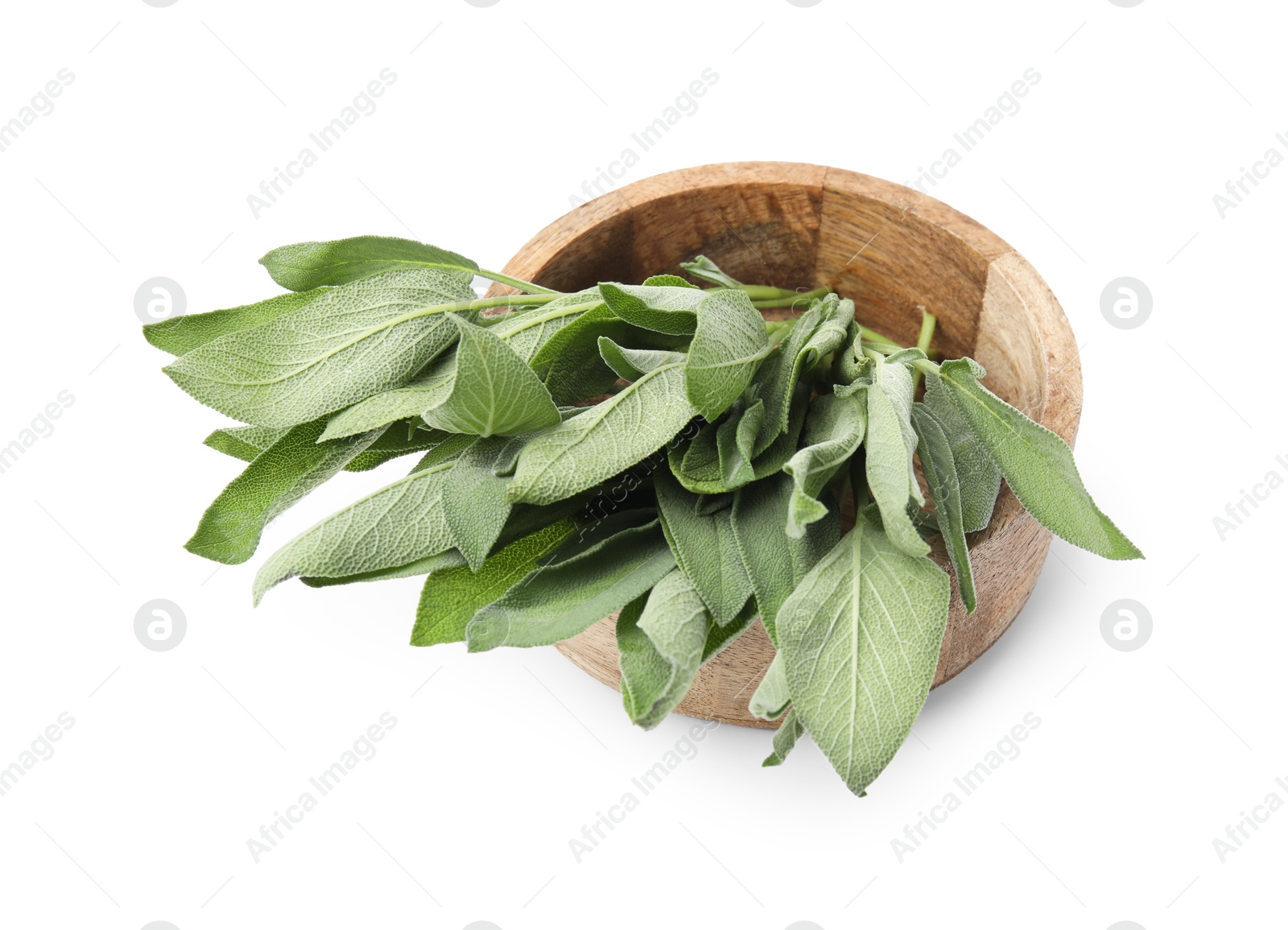 Photo of Leaves of fresh sage in wooden bowl isolated on white