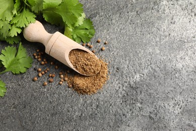 Coriander powder in scoop, seeds and green leaves on grey table, top view. Space for text