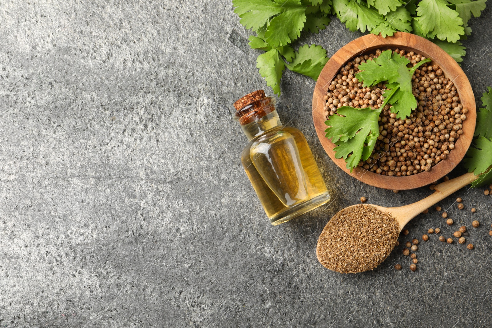 Photo of Coriander essential oil, powder, seeds and green leaves on grey table, top view. Space for text