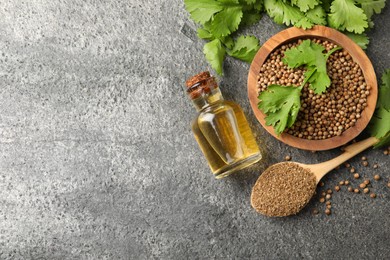 Coriander essential oil, powder, seeds and green leaves on grey table, top view. Space for text