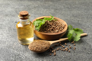 Coriander essential oil, powder, seeds and green leaves on grey table