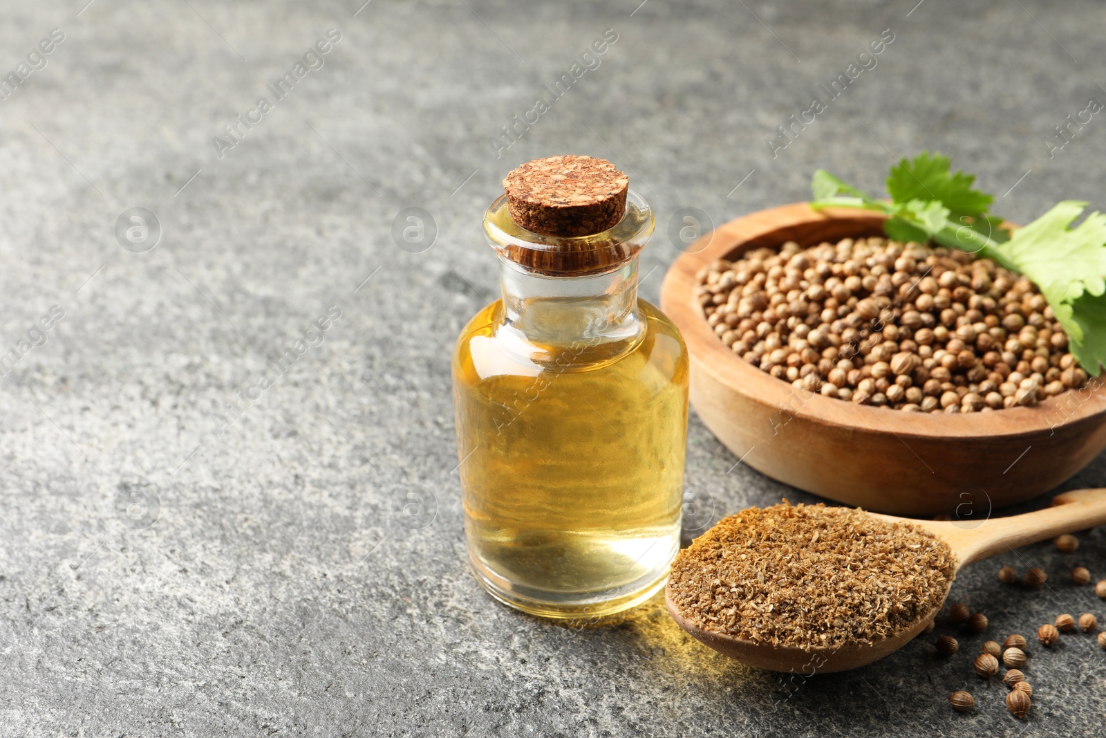 Photo of Coriander essential oil, powder, seeds and green leaves on grey table, space for text