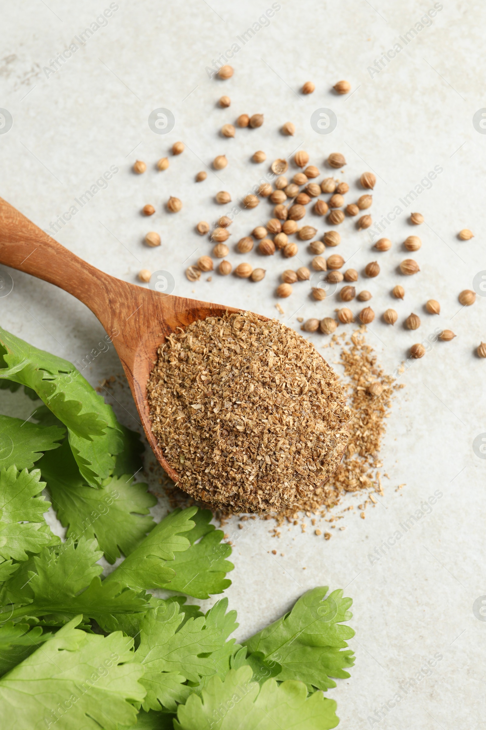 Photo of Coriander powder in spoon, seeds and green leaves on light grey table