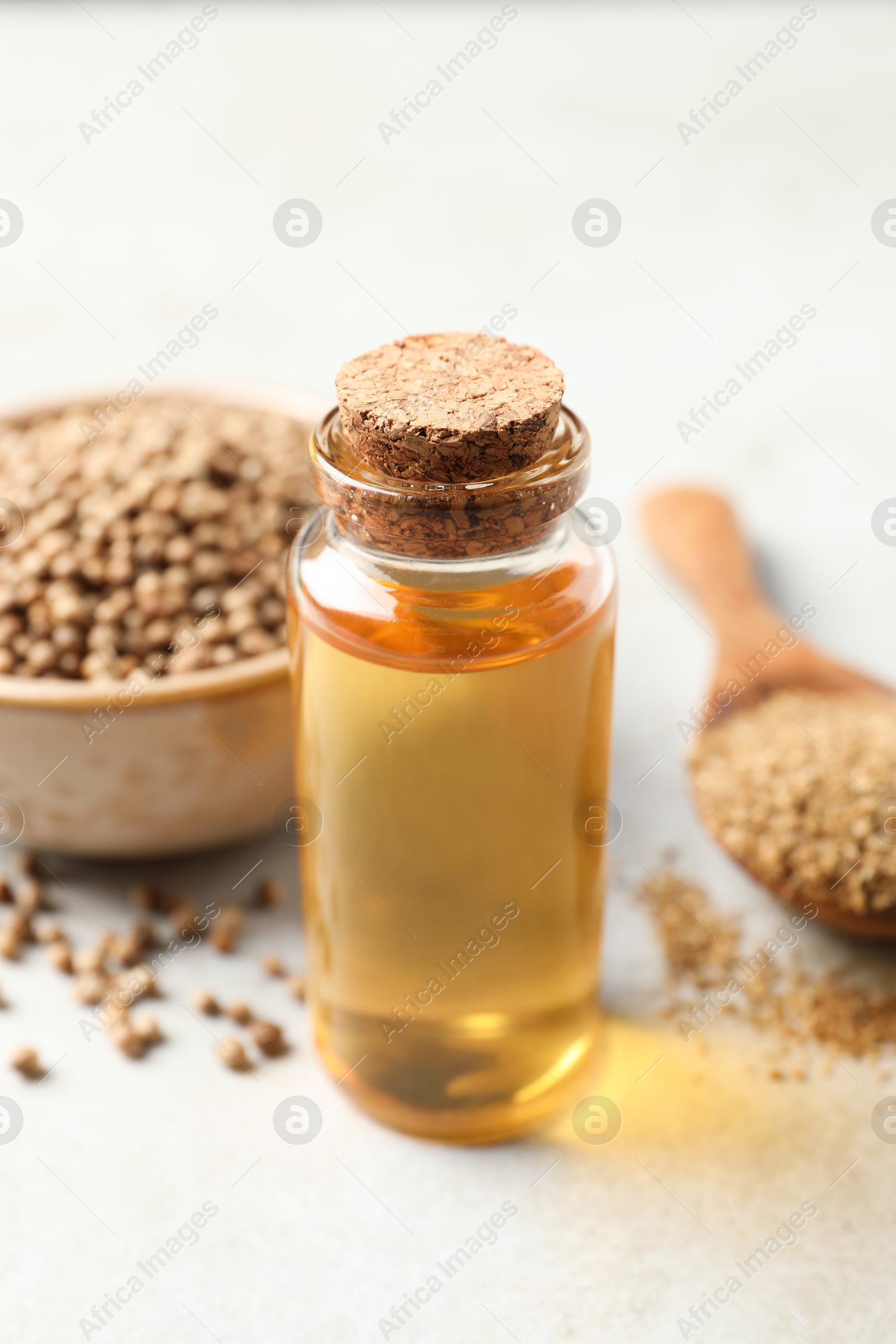 Photo of Coriander essential oil, powder and seeds on light grey table