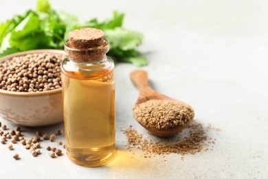 Coriander essential oil, powder and seeds on light grey table