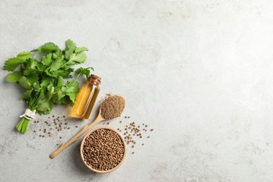 Coriander essential oil, powder, seeds and green leaves on light grey table, flat lay. Space for text