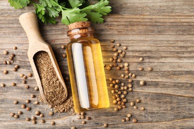 Coriander essential oil, powder, seeds and green leaves on wooden table, top view