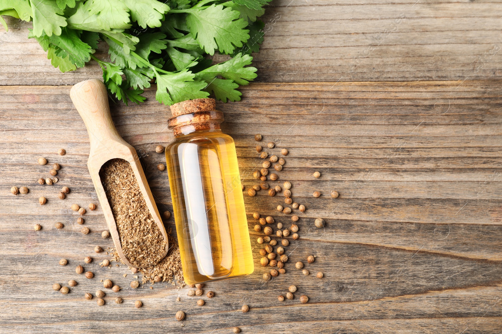 Photo of Coriander essential oil, powder, seeds and green leaves on wooden table, top view. Space for text