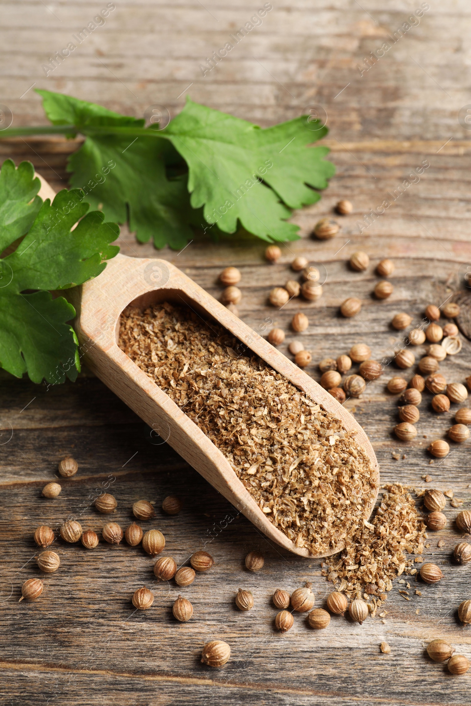 Photo of Coriander powder in scoop, seeds and green leaves on wooden table