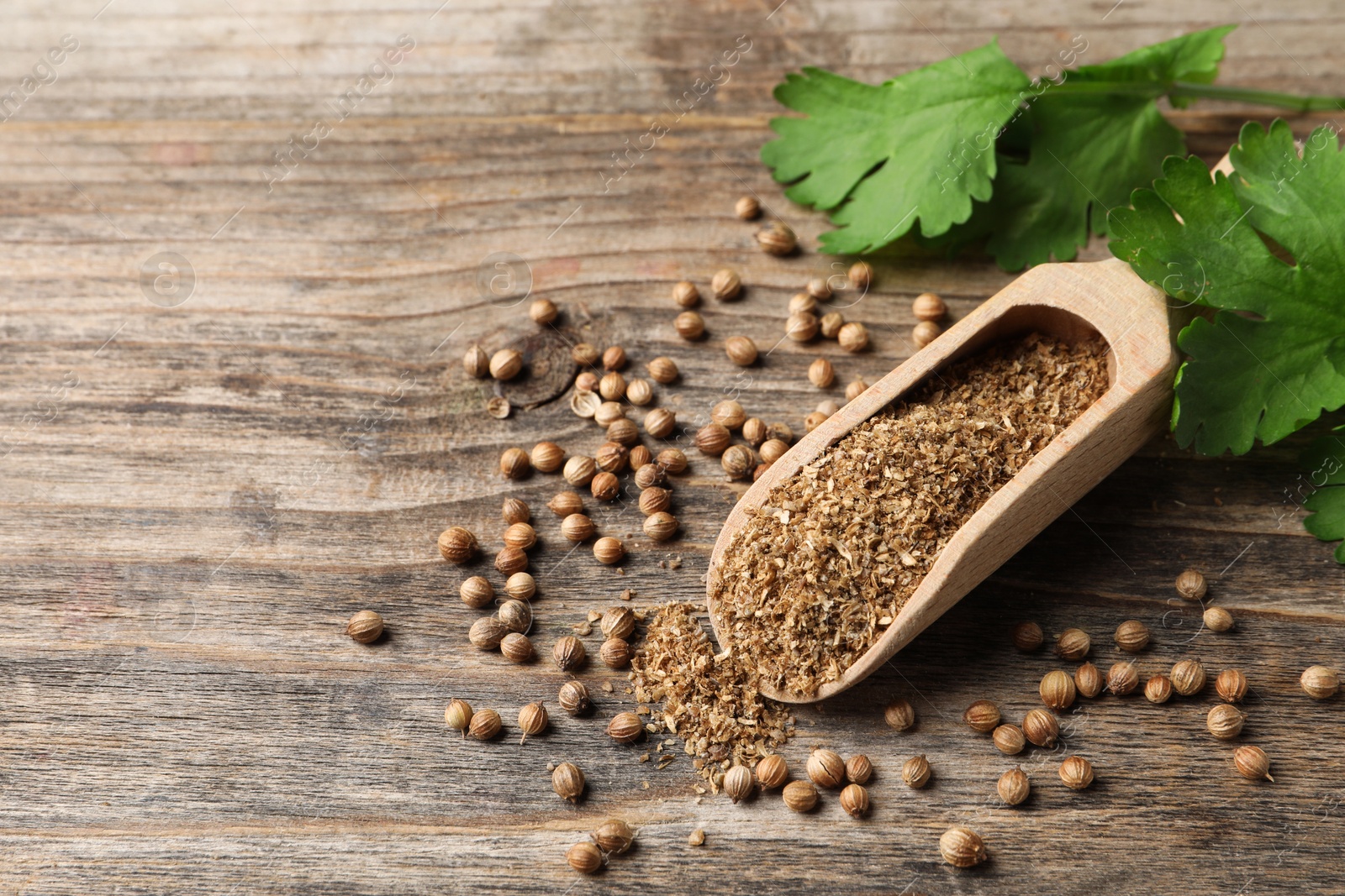 Photo of Coriander powder in scoop, seeds and green leaves on wooden table. Space for text