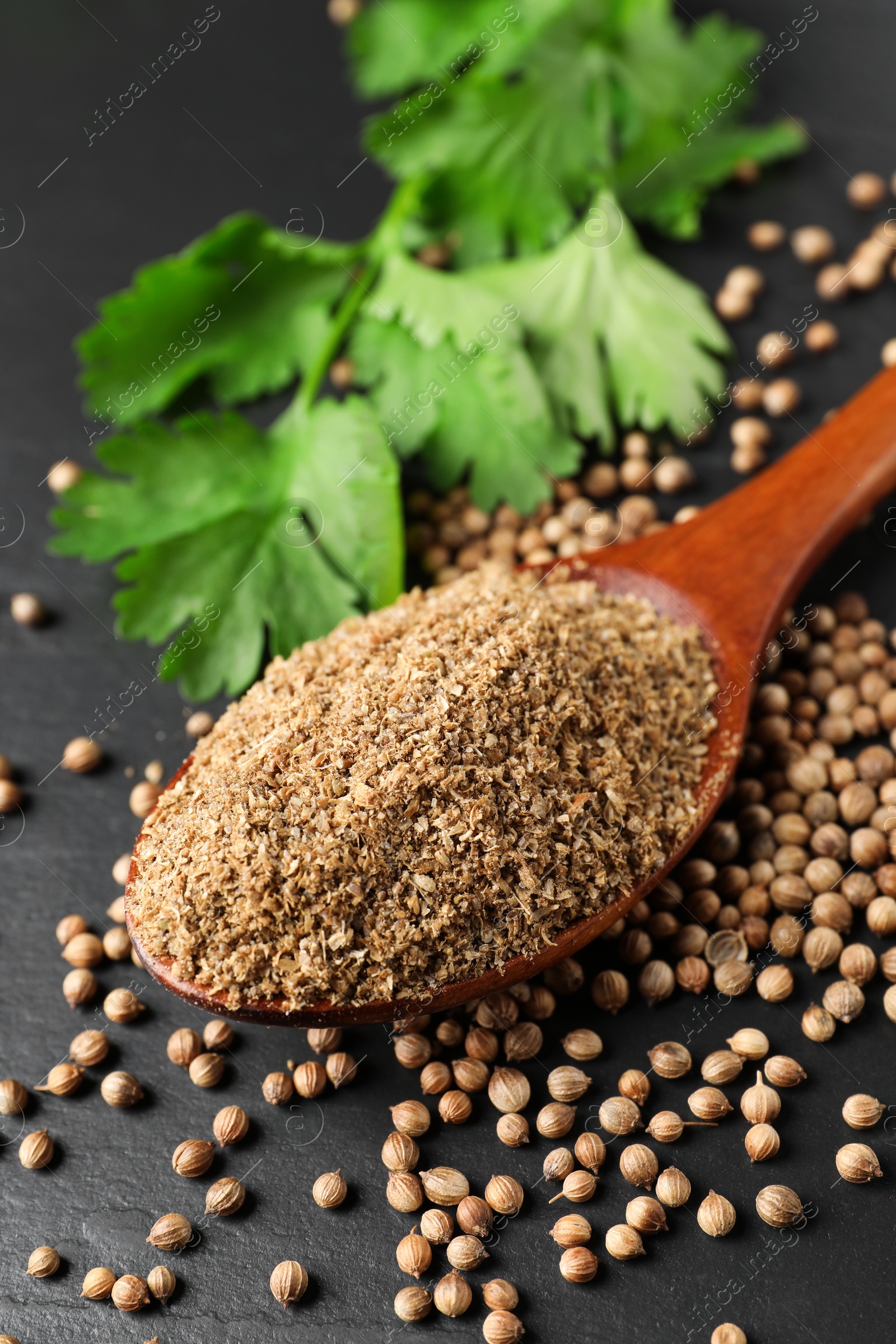 Photo of Coriander powder in spoon, seeds and green leaves on black table