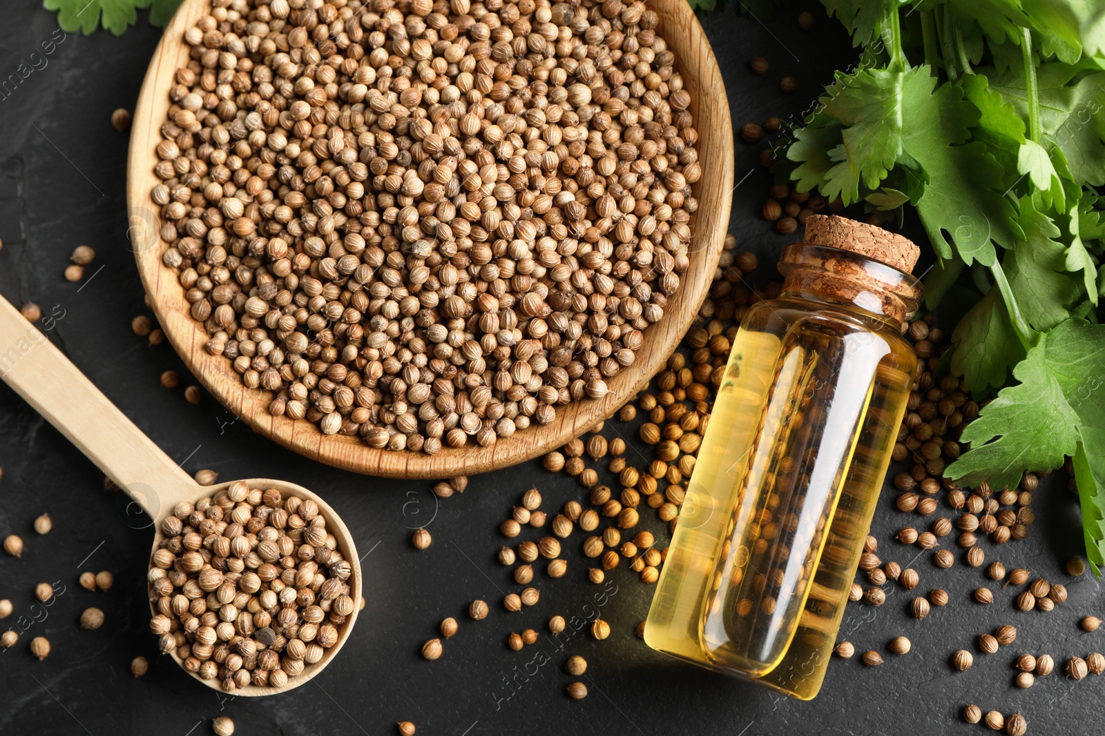 Photo of Coriander essential oil, seeds and green leaves on black table, top view