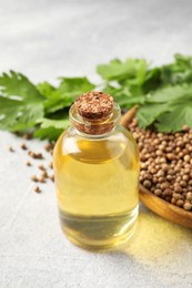 Coriander essential oil, seeds and green leaves on light grey table