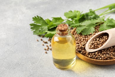 Coriander essential oil, seeds and green leaves on light grey table, space for text