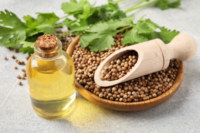 Photo of Coriander essential oil, seeds and green leaves on light grey table