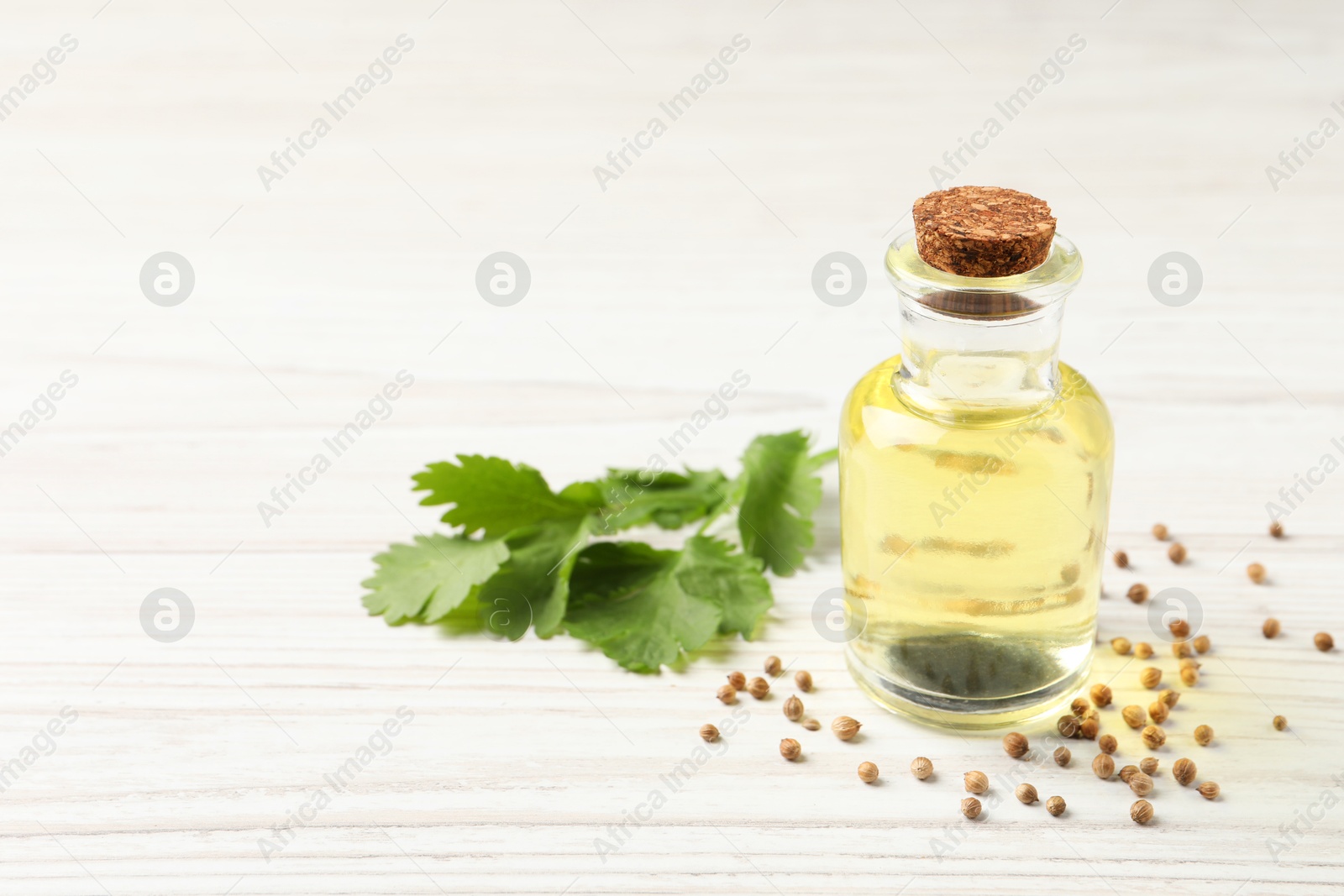 Photo of Coriander essential oil, seeds and green leaves on wooden table. Space for text