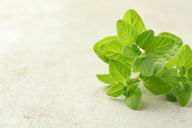 Photo of Sprigs of fresh green oregano on light textured table, closeup. Space for text