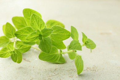 Sprigs of fresh green oregano on light textured table, closeup