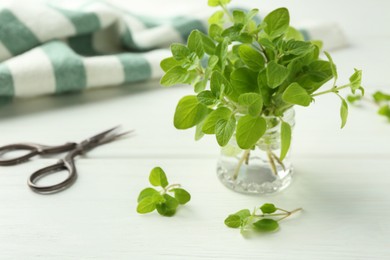 Photo of Sprigs of fresh green oregano in glass jar on white wooden table, closeup