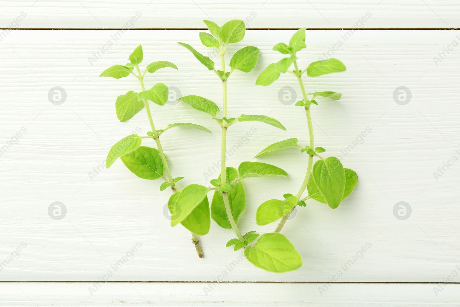 Photo of Sprigs of fresh green oregano on white wooden table, top view