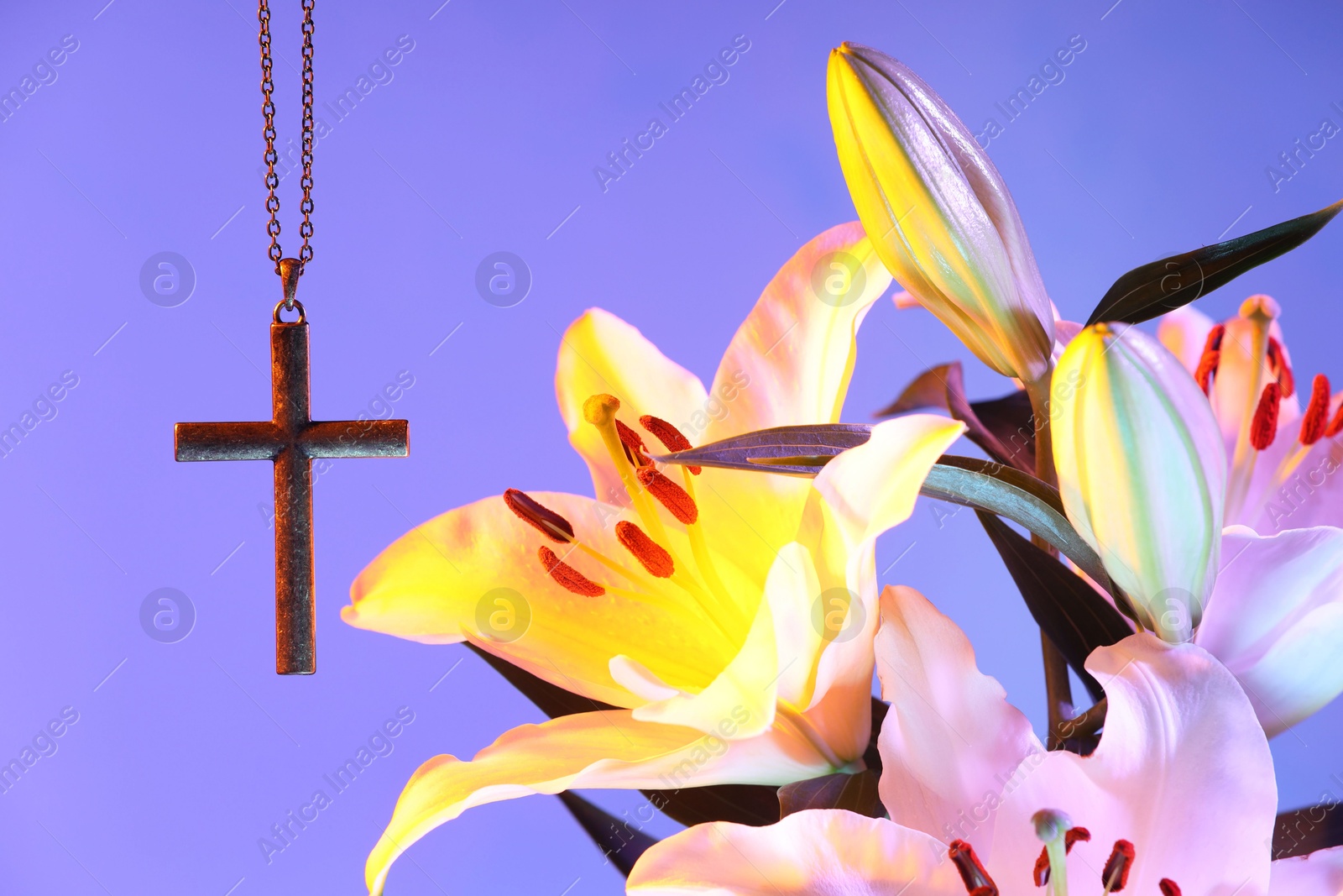 Photo of One cross with chain and beautiful lily flowers on purple background, closeup. Religion of Christianity