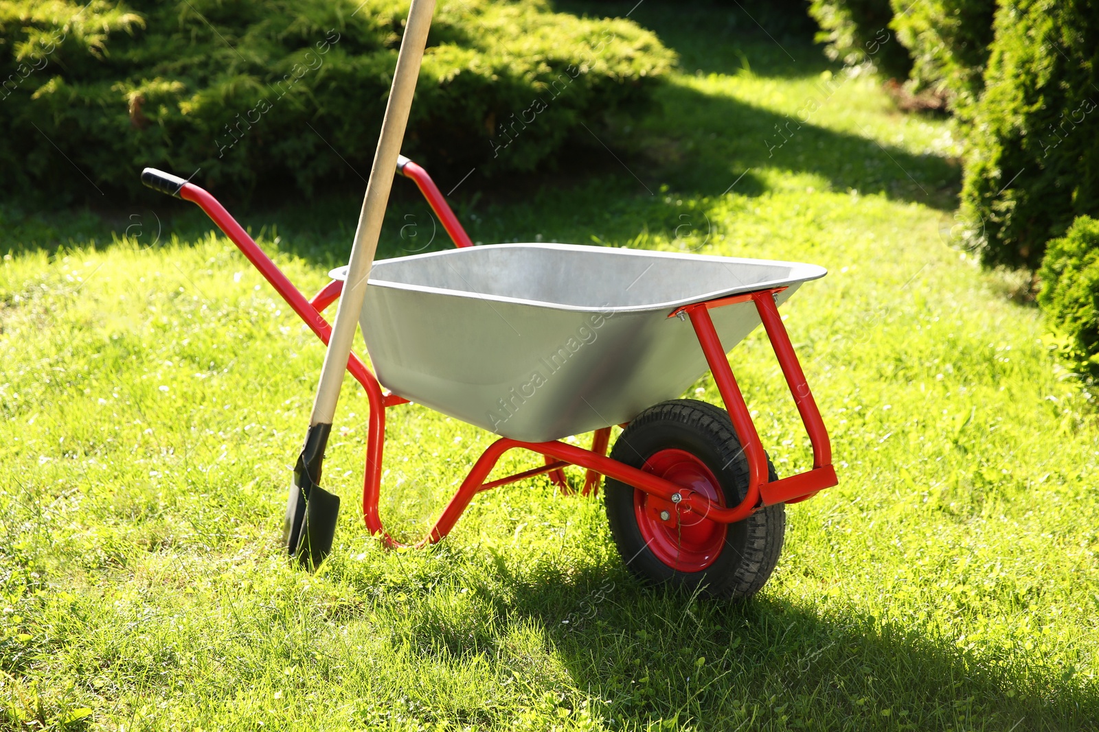 Photo of One wheelbarrow and shovel on green grass in garden