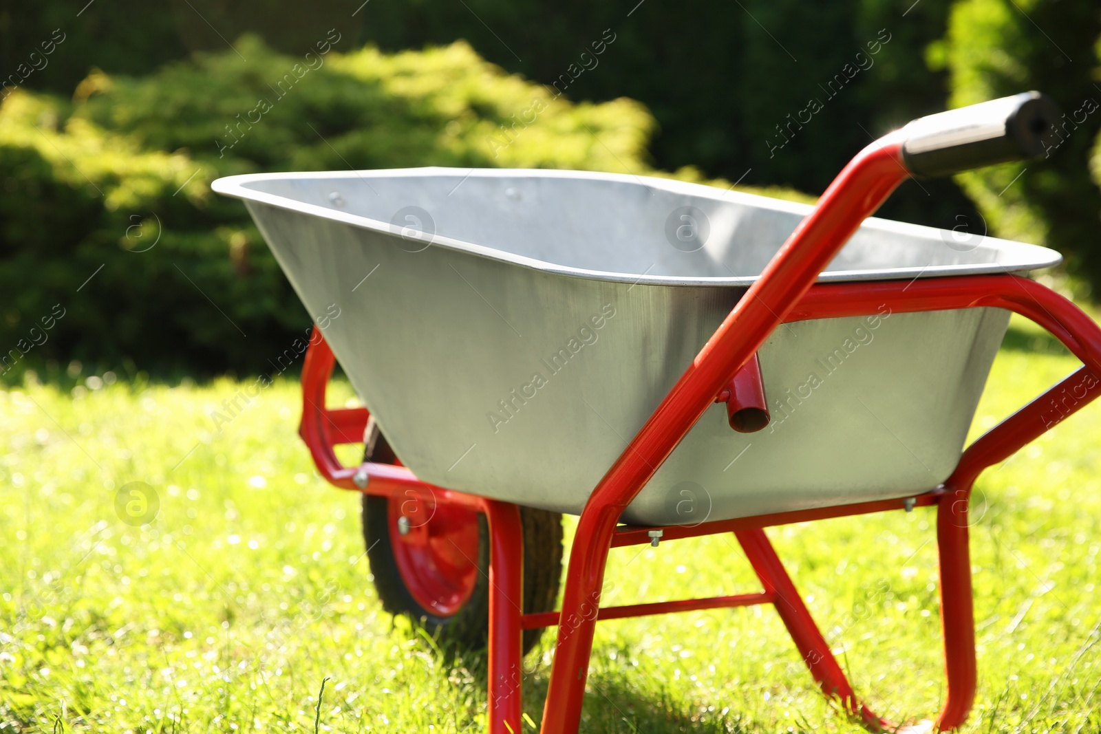 Photo of One wheelbarrow on green grass in garden