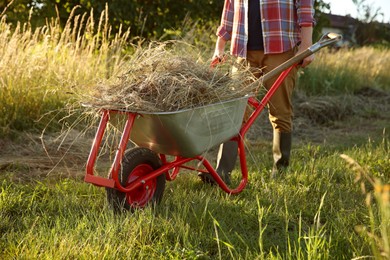 Photo of Farmer with wheelbarrow full of mown grass outdoors on sunny day, closeup