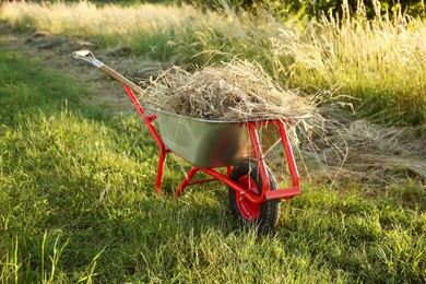 Photo of One wheelbarrow full of mown grass outdoors on sunny day