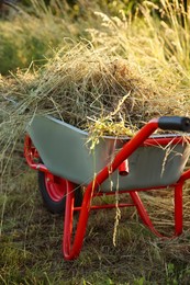 One wheelbarrow full of mown grass outdoors