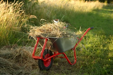 Photo of One wheelbarrow full of mown grass outdoors