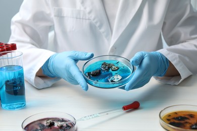 Photo of Laboratory worker holding petri dish with sample at white table indoors, closeup