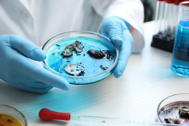 Laboratory worker holding petri dish with sample at white table indoors, closeup