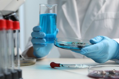 Photo of Laboratory worker with petri dish and beaker researching bacteria at white table indoors, closeup