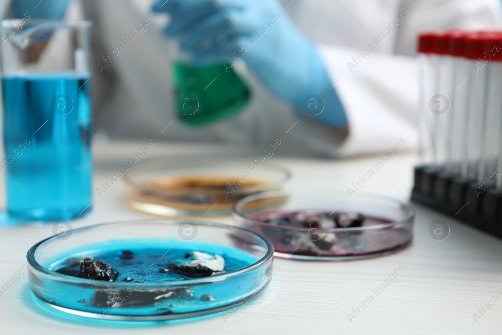 Photo of Petri dishes with samples on white table and scientist working in laboratory, selective focus