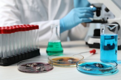 Photo of Petri dishes with samples on white table and scientist working in laboratory, selective focus