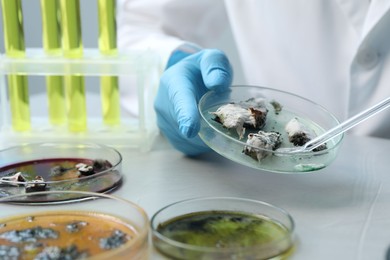 Photo of Laboratory worker taking sample with pipette from petri dish at light table, closeup