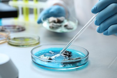 Photo of Laboratory worker taking sample with pipette from petri dish at light table, closeup